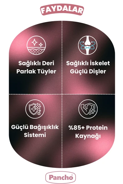 PANCHO KUZU ETLİ PUPPY YAVRU KÖPEK MAMASI 15KG - 3