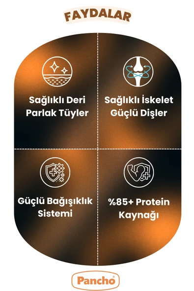 PANCHO RENKLİ YETİŞKİN KEDİ MAMASI 15KG - 2