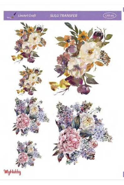 Sulu transfer LNT01 ürün görseli