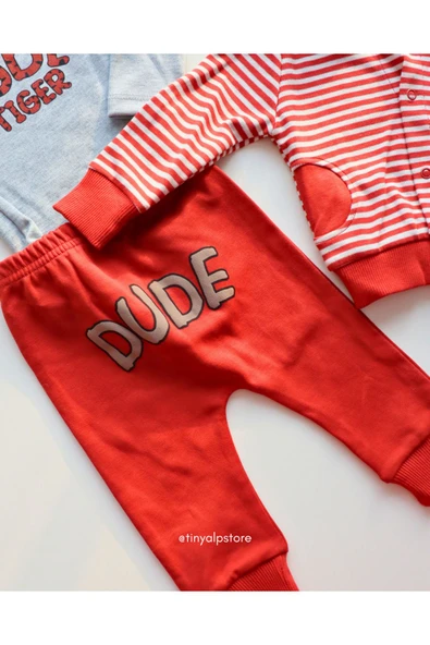 TinyAlp Basic Tasarım Desen Soft Renkli Çizgili Rahat Kumaş Zıbın ve Kapşon 3'lü Erkek Bebek Takım - 3