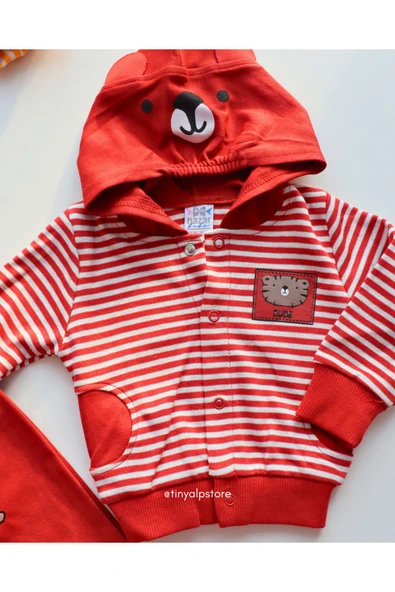 TinyAlp Basic Tasarım Desen Soft Renkli Çizgili Rahat Kumaş Zıbın ve Kapşon 3'lü Erkek Bebek Takım - 2