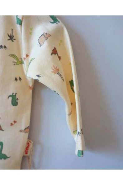 TinyAlp Dino Desenli Soft Renkli Erkek Bebek İkili Takım - 5