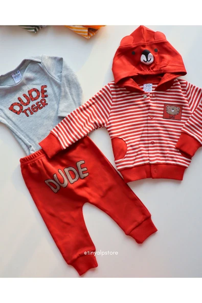 TinyAlp Basic Tasarım Desen Soft Renkli Çizgili Rahat Kumaş Zıbın ve Kapşon 3'lü Erkek Bebek Takım