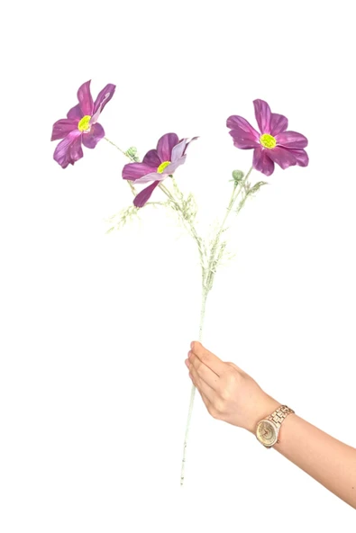 Islak Dokulu 60 cm Yapay Gelincik Çiçeği – Gerçekçi Görünümlü Dekoratif Salon ve Masa Çiçeği - Resim 8