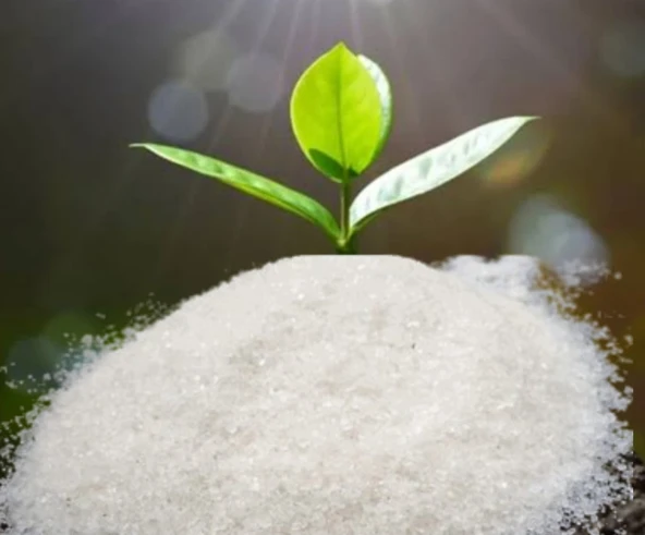 Micro Element Bitki Besini Suda Erir Çinko Gübre % 22 Zn Bitki Filiz Geliştirici 1 Kg - Resim 2