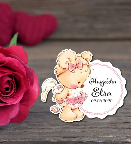 Sevimli Ayıcık  50 Adet Magnet Seti ürün görseli