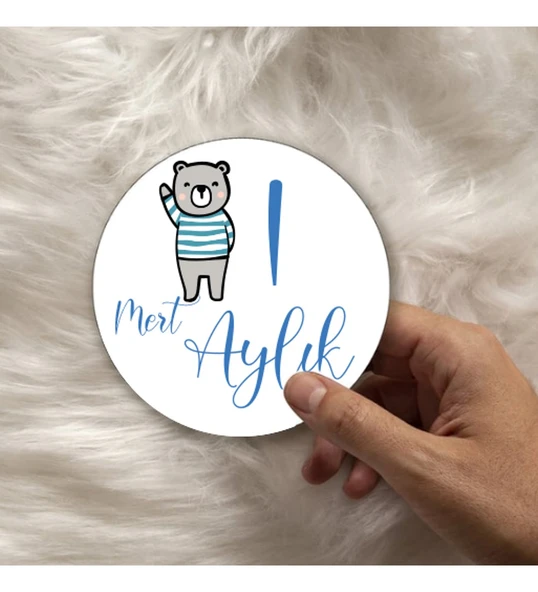 12 Aylık Ahşap Plak Seti  Bebek Aylık Fotoğraf Kartları ürün görseli