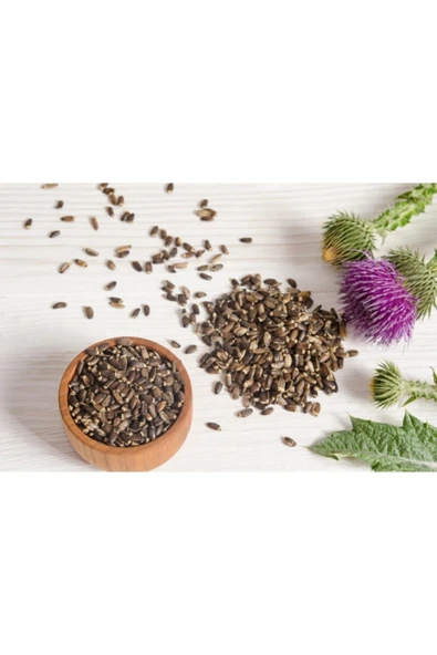 OT DÜNYASI Deve Deve Dikeni Tohumu 80 gr ürün görseli 1