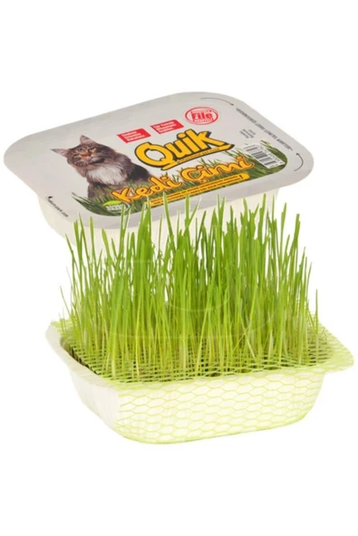 Quick Kediler Için Doğal Kedi Çimi Fileli - 1