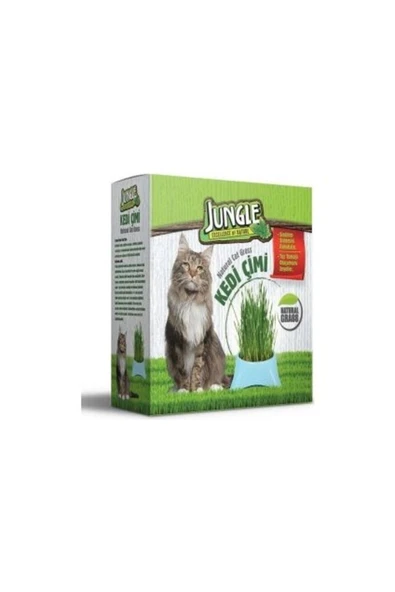 Jungle Kedi Çimi Kutulu (FİLELİ)