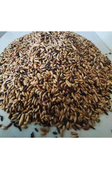 Natural Karışık Kanarya (şalgamsız) Yemi 1 Kg - Resim 2