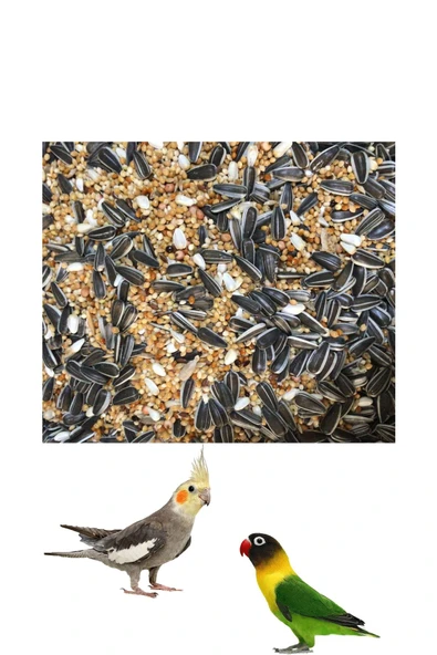 Vivid Sultan - Cennet Papağanı Yemi 1 Kg - Papağan Yemi ürün görseli 1