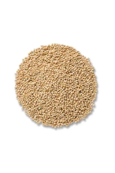 Kuş Yemi Ak Darı Beyaz Darı 1 Kg ürün görseli 1