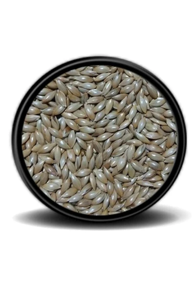 Vivid Sade Kanarya Yemi (aspur) 1 Kg ürün görseli 1