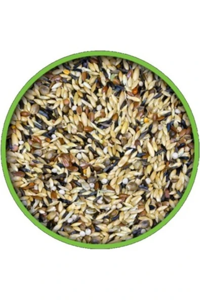 Vivid Ünallar Tarım Karışık Kanarya Yemi 1 Kg Kanarya Kuşu Yemi ürün görseli 1