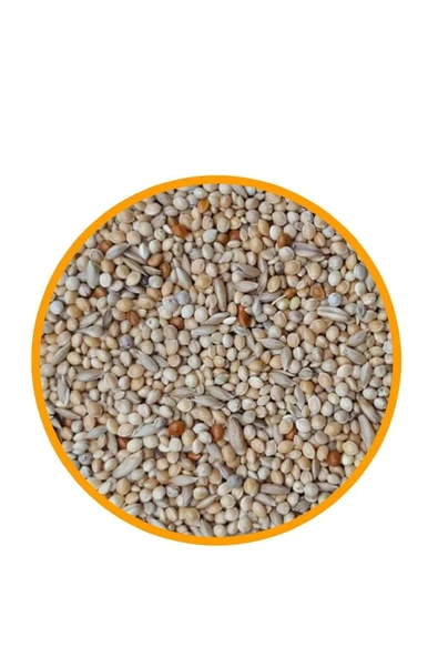 Petdoys Karışık Muhabbet Kuşu Yemi 1 kg - Resim 2