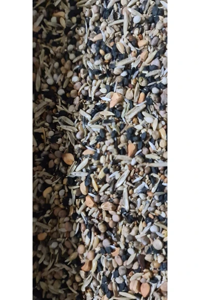 Versele Laga Yabani Sağlık Tohumu 250 Gr ürün görseli 1