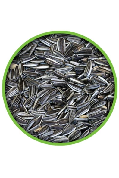 grpet Küçük Çizgili Çekirdek 1 Kg ürün görseli 1