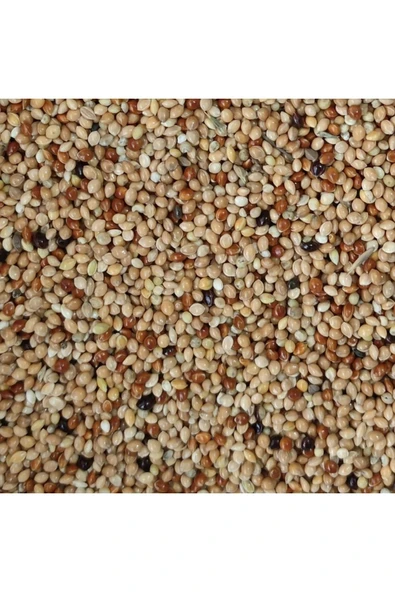 cotanakkafes Muhabbet Kuşu Yemi Karışık 1 Kg ürün görseli 1