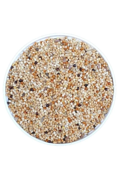 Aslan Muhabbet Kuşu Yemi 1 Kg ürün görseli 1