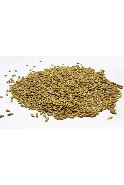 Orqinel Petdoys Kuşlarınız Için Sade Aspur Yemi - 250 Gram ürün görseli 1