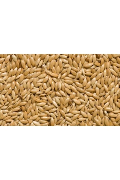 cotanakkafes Aspur Sade Kanarya Yemi 1 Kg ürün görseli 1