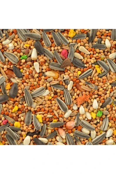 Jungle Sultan Papağanı Yemi 500 gr - Resim 3