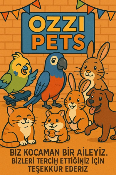 Quik Kuşlar Için Mürekkep Balığı Gaga Taşı 1 Adet 10 Cm - Resim 3