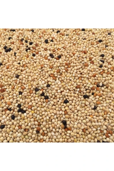 HOBİ Muhabbet Karışık Kuş Yemi 2.5 Kğ ürün görseli 1