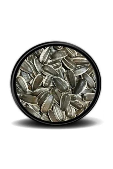 Vivid Bird Vivid Alaca Küçük Çekirdek 1 Kg ürün görseli 1