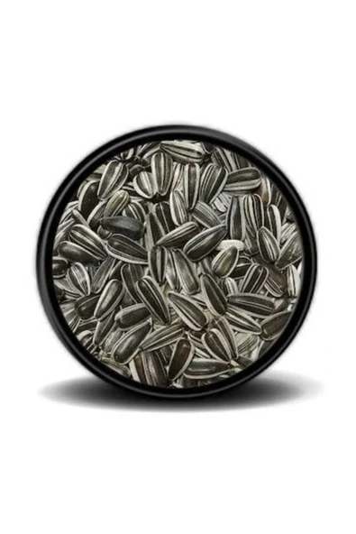 Vivid Bird Çizgili Küçük Alaca Çekirdek Papağan Yemi 500 Gr ürün görseli 1