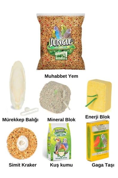 Jungle Muhabbet Kuş Seti - Resim 2