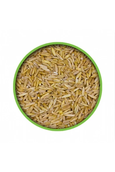 Vivid Bird Soyulmuş (iç) Yulaf 1 Kg ürün görseli 1