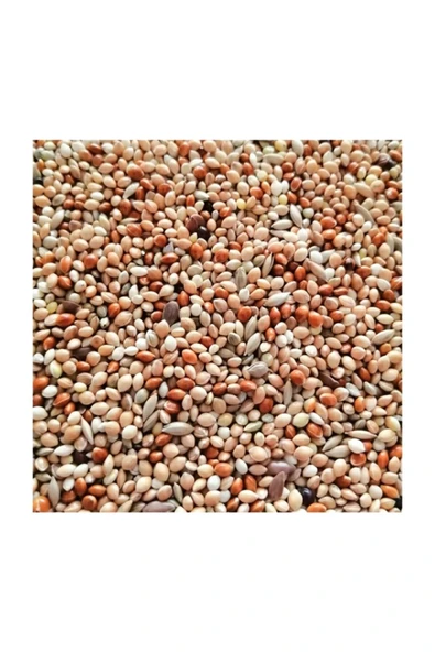 Jingle Babe Karışık Muhabbet Kuşu Yemi 1 Kg ürün görseli 1