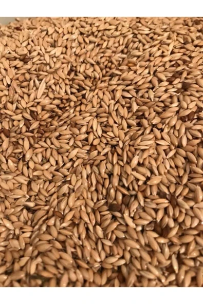 Vivid Bird Vivid Sade Kanarya Yemi Aspur 1 Kg ürün görseli 1