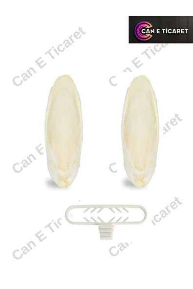 Pelagos 2adet Mürekkep Kalamar Kemiği Small Boy - Kalamar Kemiği Tutacağı ürün görseli 1