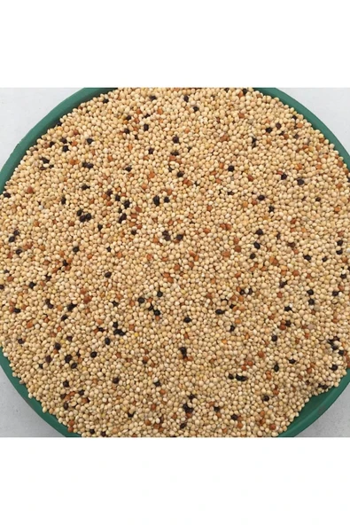 HOBİ Muhabbet Karışık Kuş Yemi 2.5 Kğ - Resim 3