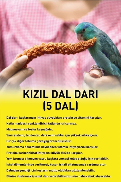 Vitafix Kızıl Dal Darı - Tüm Kafes Kuşları Için Darı - Kuş Yemi - Yavru Kuşların Tüketimi Uygundur - 2