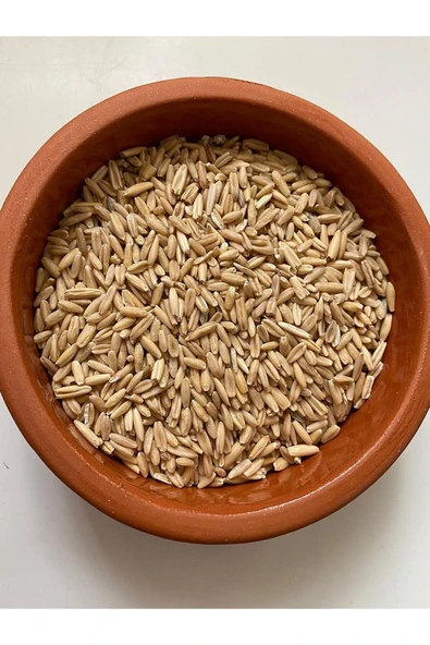 Vivid Bird Kuşlar İçin Soyulmuş Yulaf 1 kg - Resim 2