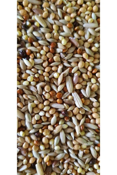 katzoo Lüks Karışık Muhabbet Kuşu Yemi 1 Kg ürün görseli 1