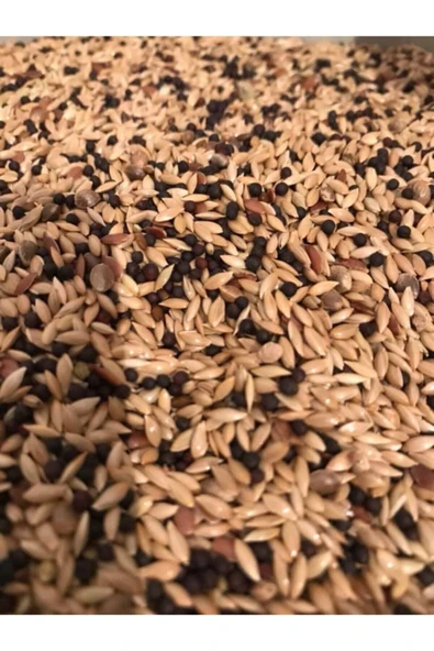 Vivid Karışık Kanarya Yemi 1kilo ürün görseli 1