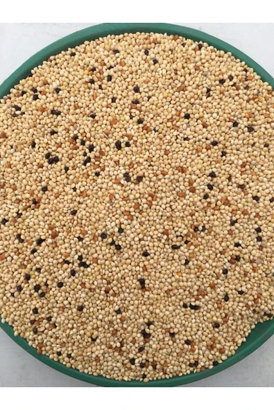 HOBİ Muhabbet Karışık Kuş Yemi 2.5 Kğ - Resim 2