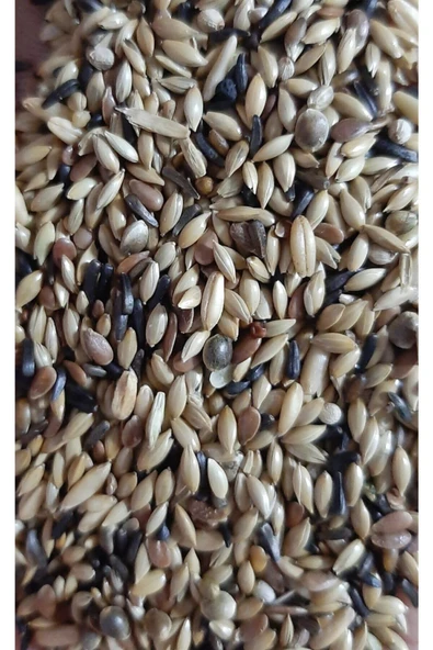 İKSİR PROF KUŞ MAMASI Süper Karışık Kanarya Yemi 1 Kg ürün görseli 1