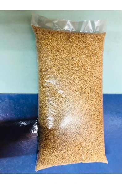 Vivid Sade Kanarya Yemi (aspur) 1 Kg - Resim 2