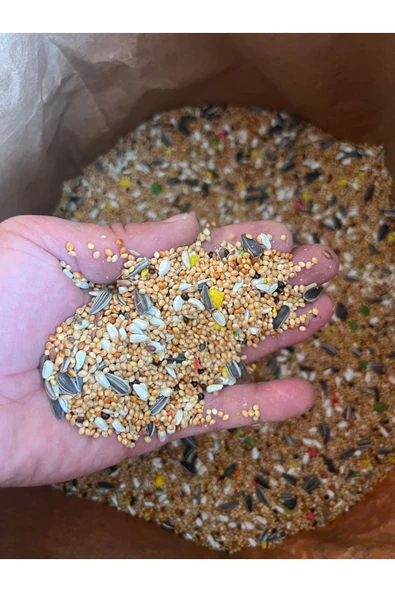 bird land Sultan Papağanı Pareket Yemi 1 Kg. - 3