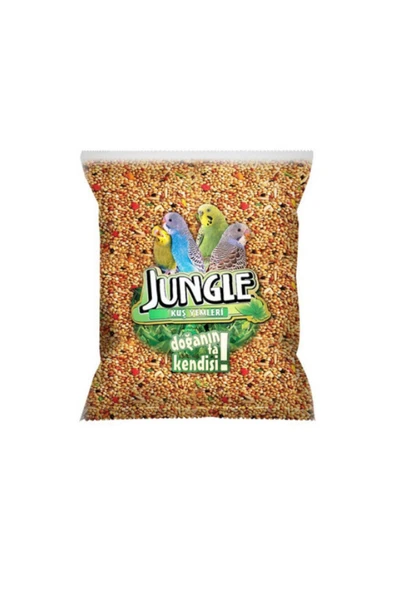 Jungle Muhabbet Kuş Seti - Resim 3