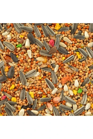 Quik Paraket Yemi 750 Gr - Resim 2