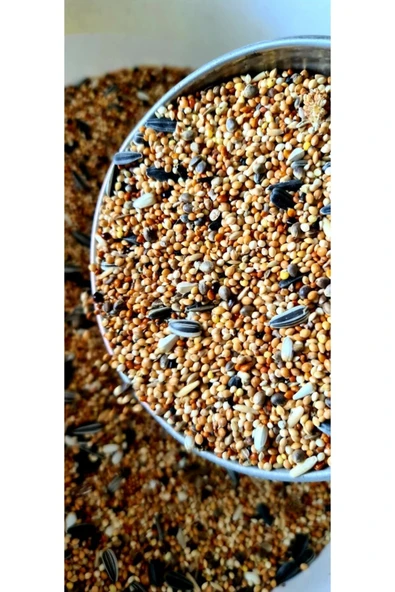 Ankara Yem Evi Forpus Papağanı Yemi 1 Kg ürün görseli 1