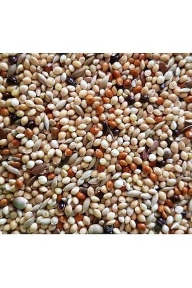 Özdemir Petshop Karışık Vitaminli Muhabbet Kuşu Yemi 1,5 Kg ürün görseli 1