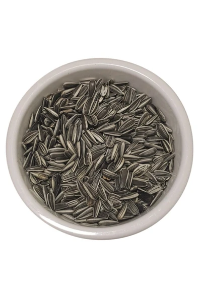 724 PET MARKET Vivid Çizgili Alaca Çekirdek 2 Kg ürün görseli 1